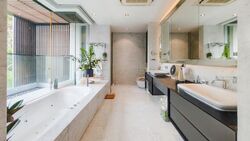 The Nassim (D10), Condominium #523039091